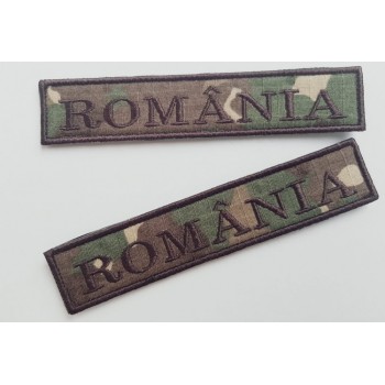 ECUSON ROMANIA COMBAT FORTELE TERESTRE | ECUSON ROMANIA COMBAT MAPN